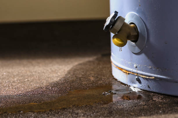 Best Ceiling water damage repair  in Arlington, TN