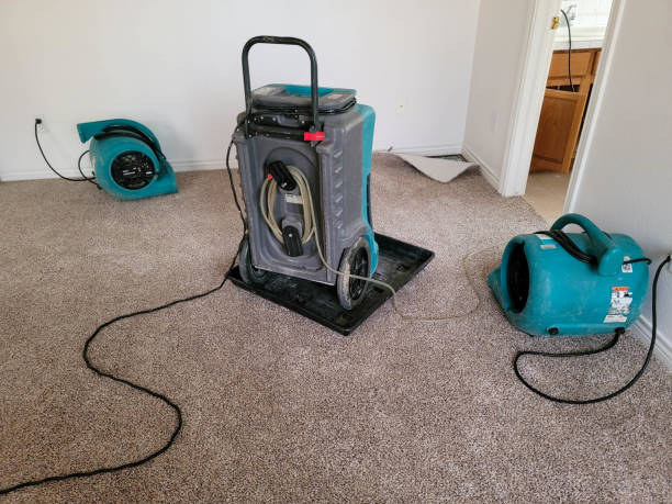 Best Water damage contractors near me  in Arlington, TN