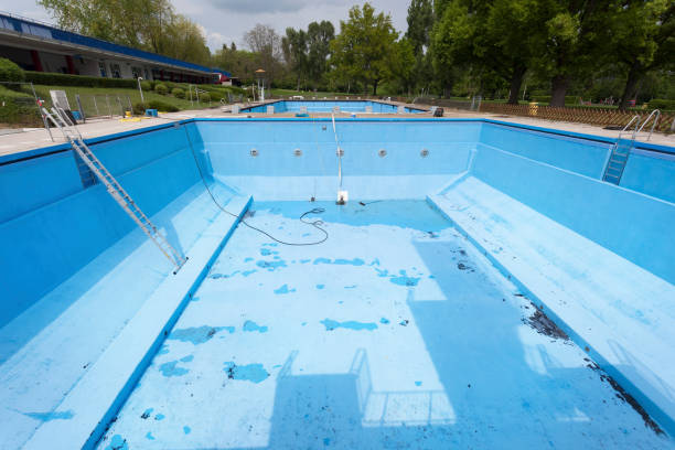 Best Mold removal after water damage  in Arlington, TN