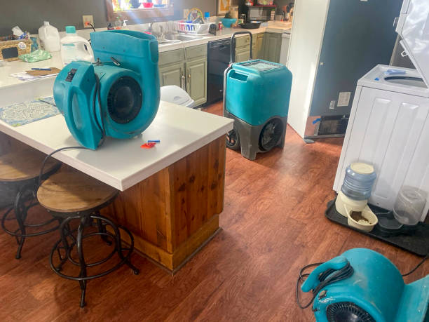 Best Water damage restoration near me  in Arlington, TN