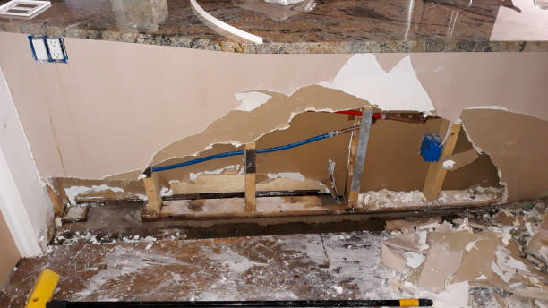 Best Flood damage cleanup  in Arlington, TN