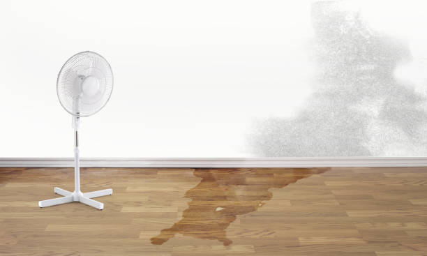 Professional Water damage restoration in TN