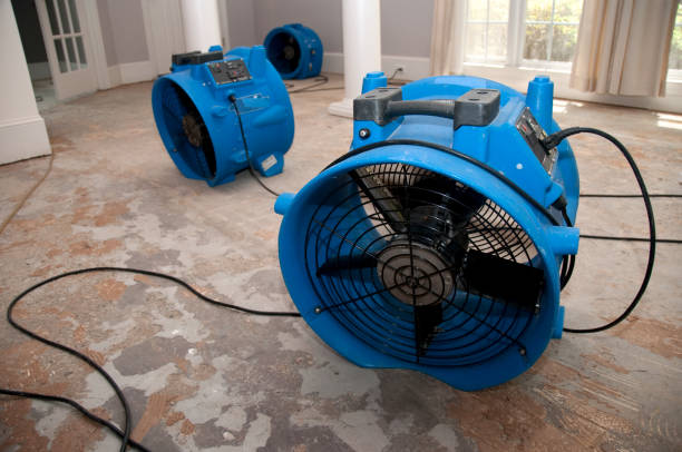 Best Residential water damage restoration  in Arlington, TN