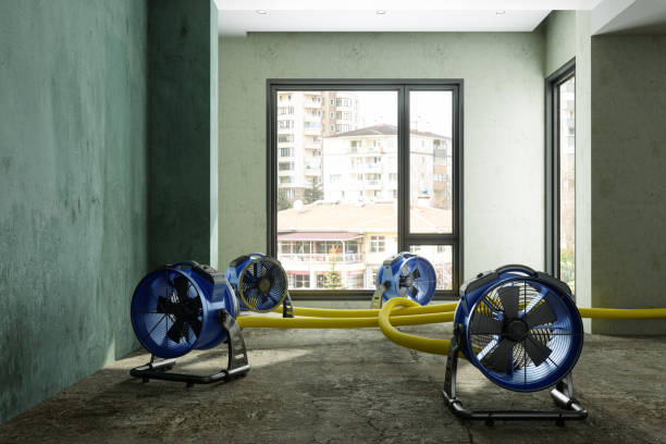 Best Water damage restoration near me  in Arlington, TN