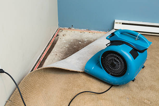  Arlington, TN Water damage restoration Pros